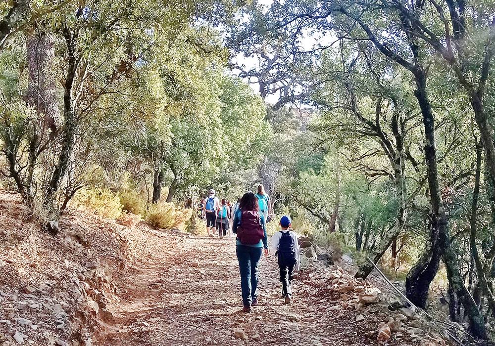 wandelen-in-groepsverband